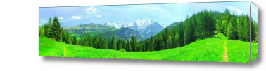 Картина Панорама поляны
