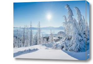 Картина Зима