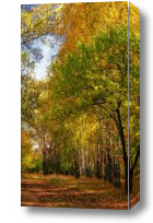 Картина Осенний лес