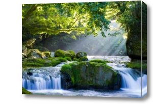 Картина Водопад в лесу