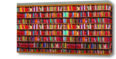 Картина Книжный стеллаж